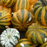 photo of pumpkins